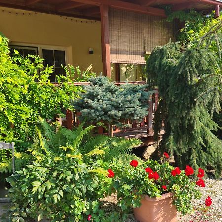 Apartament Malinowa Dolina Klodzko Exterior photo